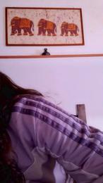 RiBelliPorcelli webcam model stream image