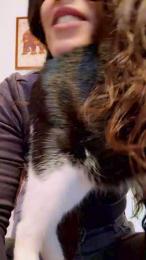 RiBelliPorcelli webcam model stream image