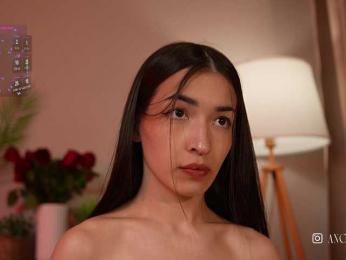 anaikey webcam model stream image