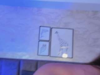 alyssia-collins webcam model stream image