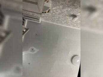 Nicol webcam model stream image