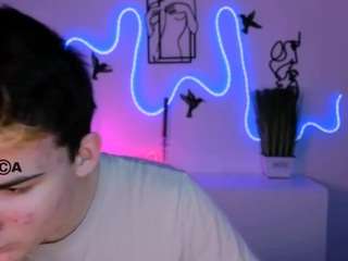 mister-vice webcam model stream image