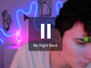 mister-vice webcam model stream image