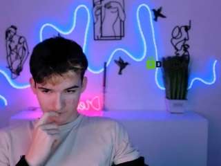 mister-vice webcam model stream image