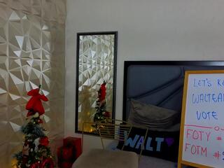 David Walt webcam model stream image