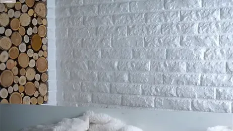 LowOncoming webcam model stream image