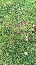 xxhot93xx webcam model stream image