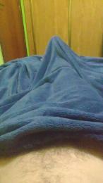 polli_play webcam model stream image