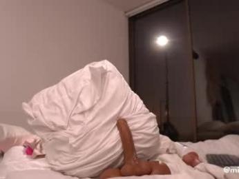 _missamber webcam chaturbate model stream image