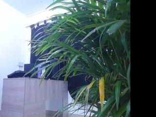 Diego Gil webcam model stream image