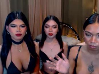 wildara webcam model stream image