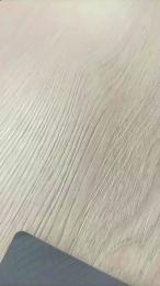 sendyhais webcam model stream image