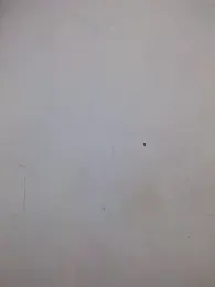 Varanasidaddy069 webcam model stream image