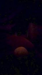 uncutcockitaly webcam model stream image