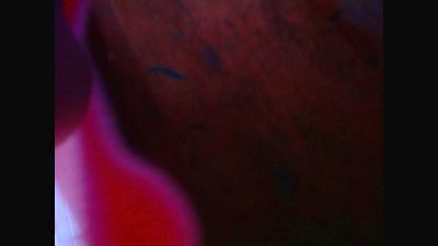 draconia25 webcam cam4 model stream image