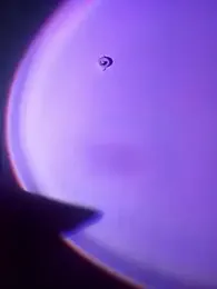 Angelnirvanaa webcam model stream image