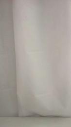 parkshirt webcam model stream image