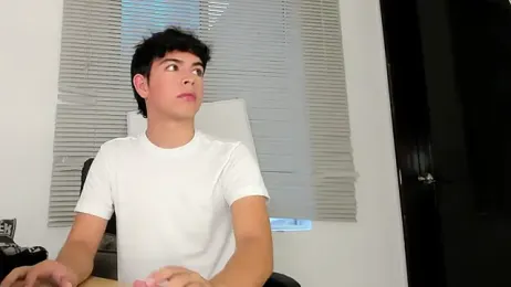 Blum_icee webcam model stream image