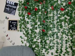 butterflybooty webcam model stream image