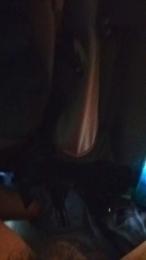 Parma696969 webcam model stream image