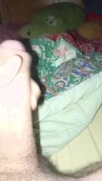 bigboycock26 webcam model stream image