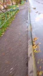 RUSbiNN webcam model stream image