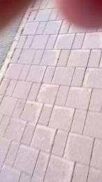 RUSbiNN webcam model stream image