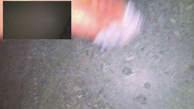 willycarot webcam model stream image