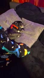 missJuicyFruity webcam model stream image