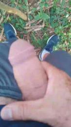 Daddy_capixaba webcam model stream image