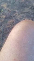 Daddy_capixaba webcam model stream image