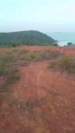 Daddy_capixaba webcam model stream image