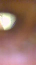 Zeigegeil2025 webcam cam4 model stream image