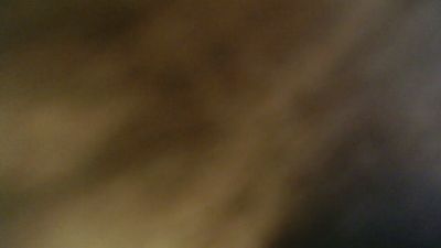 bigbeerrtd webcam model stream image