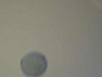 GirlPanter webcam model stream image