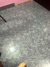 Cute_palak001 webcam model stream image