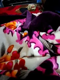 Cute_palak001 webcam stripchat model stream image