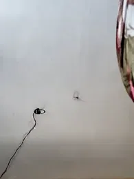 Luv_Adite20 webcam model stream image