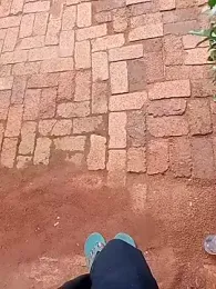 younggblackkCOCK19 webcam model stream image