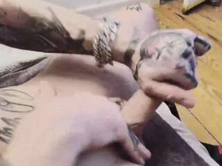 huebscherschwanz webcam model stream image