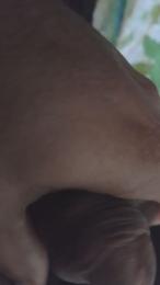 cost40 webcam cam4 model stream image