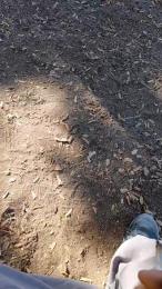 l34nfun webcam model stream image