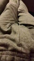 Lizard3 webcam model stream image