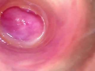 shannon-kane webcam model stream image