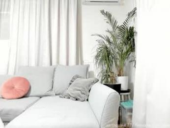 nicole_blueberry webcam model stream image