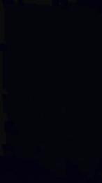 rocco703 webcam model stream image