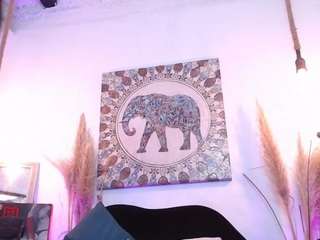 zharaboom webcam model stream image