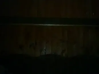 Maksymilian1 webcam model stream image