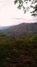 Remote_live webcam model stream image