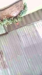 Remote_live webcam model stream image